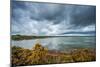 A View from a High Point over Heather and Lake in England-Will Wilkinson-Mounted Photographic Print