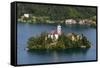 A view from above of Lake Bled and the Assumption of Mary Pilgrimage Church, Slovenia, Europe-Sergio Pitamitz-Framed Stretched Canvas