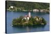 A view from above of Lake Bled and the Assumption of Mary Pilgrimage Church, Slovenia, Europe-Sergio Pitamitz-Stretched Canvas