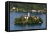 A view from above of Lake Bled and the Assumption of Mary Pilgrimage Church, Slovenia, Europe-Sergio Pitamitz-Framed Stretched Canvas