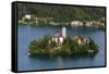 A view from above of Lake Bled and the Assumption of Mary Pilgrimage Church, Slovenia, Europe-Sergio Pitamitz-Framed Stretched Canvas