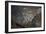 A view from Kongde looking down on Namche, the biggest village in Khumbu, the Everest region, Nepal-Alex Treadway-Framed Photographic Print