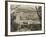 A View from Mount Ainslie, Canberra, Act, Australia 1930s-null-Framed Photographic Print