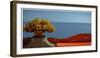 A View From Positano, 2014-null-Framed Photographic Print