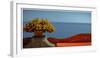 A View From Positano, 2014-null-Framed Photographic Print