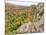 A View from Summit Peak of Lake of the Clouds Looking into the Big Carp River Valley in Autumn at P-Julianne Eggers-Mounted Photographic Print