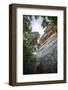 A View from the Base of Sigiriya (Lion Rock), UNESCO World Heritage Site, Sri Lanka, Asia-Charlie-Framed Photographic Print