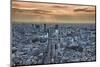 A view from the Mori Building of sunset over Tokyo-Sheila Haddad-Mounted Photographic Print