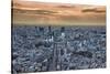 A view from the Mori Building of sunset over Tokyo-Sheila Haddad-Stretched Canvas