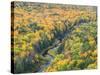 A View from the Summit Peak of the Big Carp River in Autumn at Porcupine Mountains Wilderness State-Julianne Eggers-Stretched Canvas