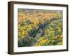 A View from the Summit Peak of the Big Carp River in Autumn at Porcupine Mountains Wilderness State-Julianne Eggers-Framed Photographic Print