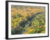 A View from the Summit Peak of the Big Carp River in Autumn at Porcupine Mountains Wilderness State-Julianne Eggers-Framed Photographic Print