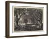 A View in Epping Forest-null-Framed Giclee Print
