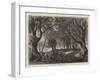 A View in Epping Forest-null-Framed Giclee Print