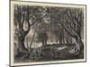 A View in Epping Forest-null-Mounted Giclee Print