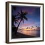 A View of a Beach with Palm Trees and Swing at Sunset, Kuredu Island, Maldives, Lhaviyani Atoll-Ljsphotography-Framed Photographic Print