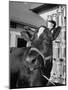 A View of a Cow on a Farm-null-Mounted Photographic Print