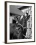 A View of a Cow on a Farm-null-Framed Photographic Print