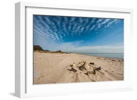 A View of a Deserted Beach with Sand Castle in England-Will Wilkinson-Framed Photographic Print