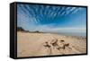 A View of a Deserted Beach with Sand Castle in England-Will Wilkinson-Framed Stretched Canvas