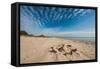 A View of a Deserted Beach with Sand Castle in England-Will Wilkinson-Framed Stretched Canvas