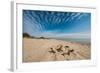 A View of a Deserted Beach with Sand Castle in England-Will Wilkinson-Framed Photographic Print