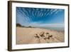 A View of a Deserted Beach with Sand Castle in England-Will Wilkinson-Framed Photographic Print