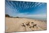 A View of a Deserted Beach with Sand Castle in England-Will Wilkinson-Mounted Photographic Print