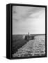 A View of a Driveless Tractor Used on Farm-null-Framed Stretched Canvas