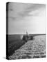 A View of a Driveless Tractor Used on Farm-null-Stretched Canvas