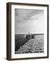 A View of a Driveless Tractor Used on Farm-null-Framed Photographic Print