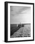 A View of a Driveless Tractor Used on Farm-null-Framed Photographic Print