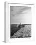 A View of a Driveless Tractor Used on Farm-null-Framed Photographic Print