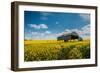 A View of a Field with Rape Seed in England-Will Wilkinson-Framed Photographic Print