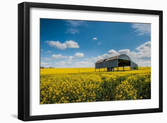 A View of a Field with Rape Seed in England-Will Wilkinson-Framed Photographic Print