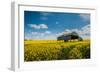 A View of a Field with Rape Seed in England-Will Wilkinson-Framed Photographic Print