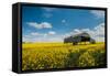 A View of a Field with Rape Seed in England-Will Wilkinson-Framed Stretched Canvas