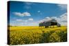 A View of a Field with Rape Seed in England-Will Wilkinson-Stretched Canvas