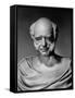 A View of a Life Mask of Martin Van Buren-Bernard Hoffman-Framed Stretched Canvas