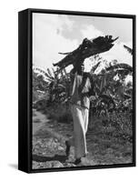 A View of a Man Carrying Crops from a Story Concerning Jamaica-Carl Mydans-Framed Stretched Canvas