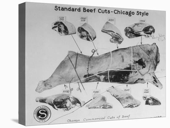 A View of a Meat Poster Showing Different Parts of a Cow from a Story Concerning Army Rations-null-Stretched Canvas