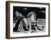 A View of a Painting by Artist Giorgio De Chirico-null-Framed Photographic Print