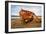 A View of a Rusty Boat on a Beach-Will Wilkinson-Framed Photographic Print
