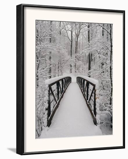 A View of a Snow-Covered Bridge in the Woods-Richard Nowitz-Framed Photographic Print