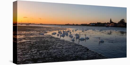 A View of Bosham Harbour in West Sussex-Chris Button-Stretched Canvas