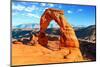 A View of Delicate Arch in Arches National Park in Utah-ventdusud-Mounted Photographic Print