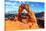 A View of Delicate Arch in Arches National Park in Utah-ventdusud-Stretched Canvas