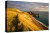 A View of Durdle Door in Dorset-Chris Button-Stretched Canvas