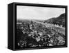A View of Heidelberg-null-Framed Stretched Canvas