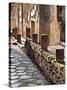 A View of Herculaneum Archaeological Site, Herculaneum Ruins, Near Naples, Campania, Italy-Miva Stock-Stretched Canvas